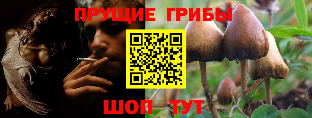 Ирбит  Галлюциногенные грибы мицелий  Вход с VPN 